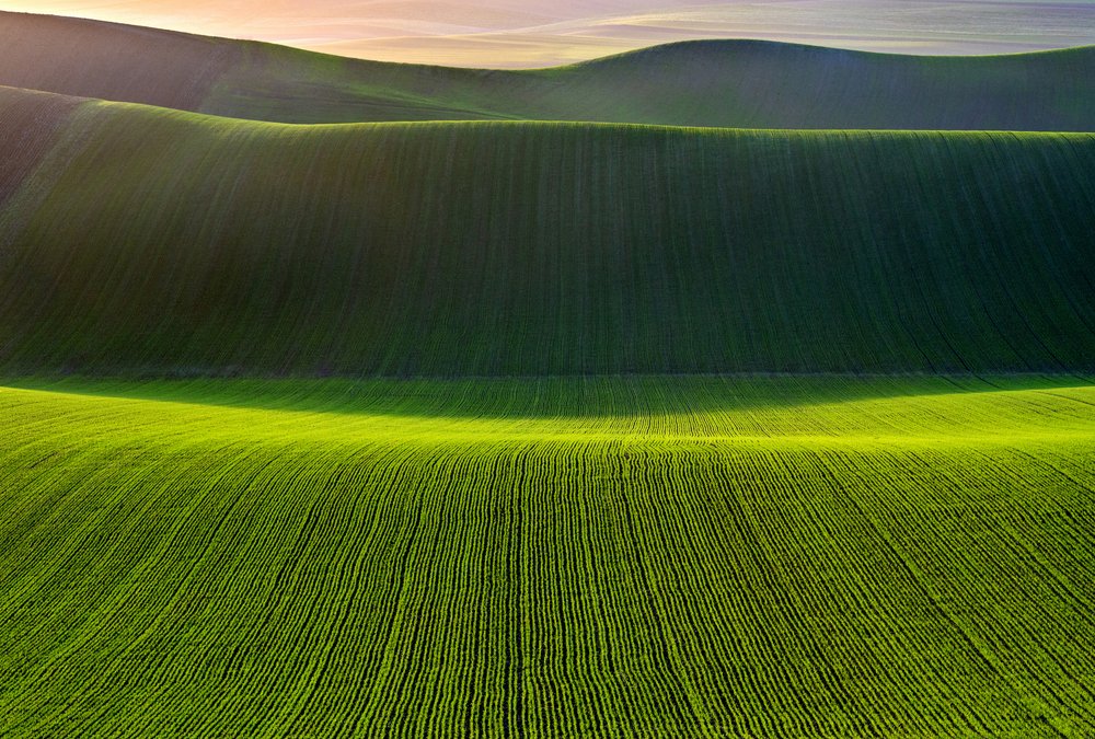 Rolling Green Fields by Nicola Figliuolo