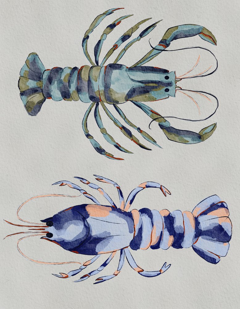 Blue Lobsters by Nikita Jariwala
