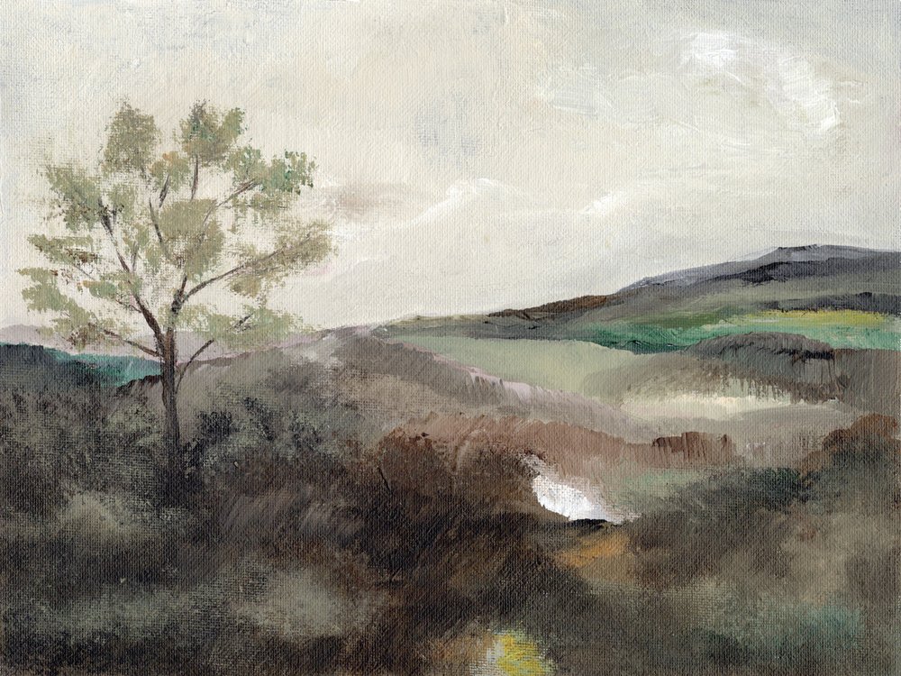 Misty Countryside Tree by Nikita Jariwala
