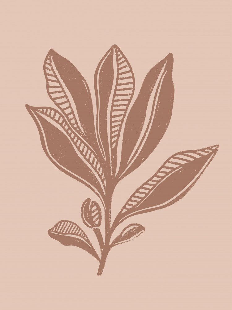 Natural Botanical Drawing by Nikita Jariwala
