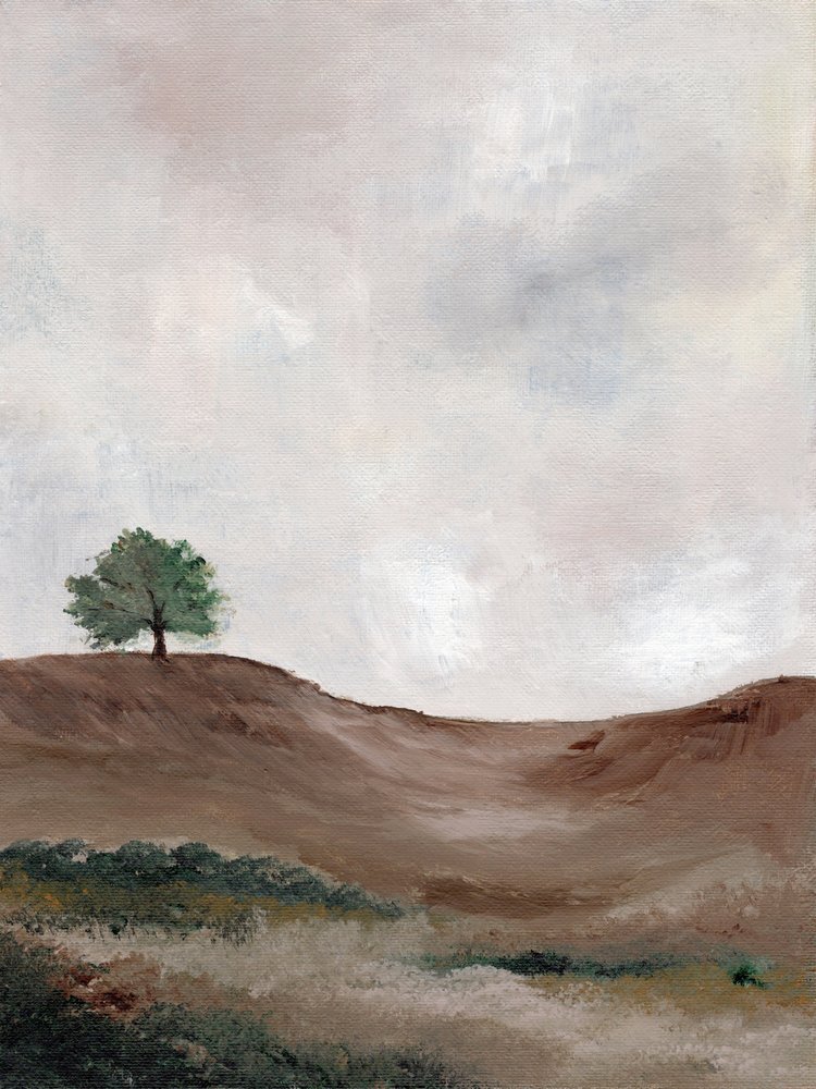 Solitary Tree Landscape by Nikita Jariwala