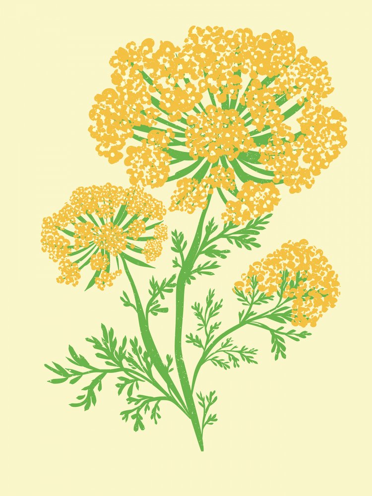 Vibrant Yellow Umbel by Nikita Jariwala
