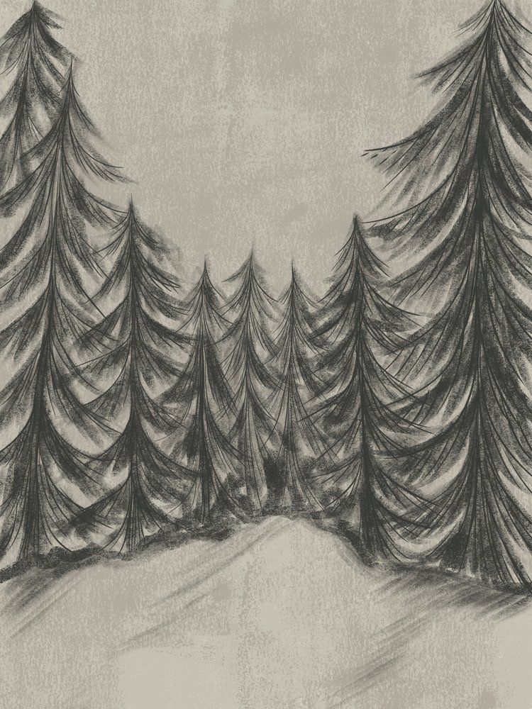 Winter Forest Sketch by Nikita Jariwala