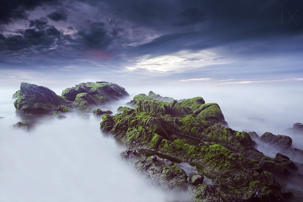 Ethereal Mossy Seascape by Nuno Araujo