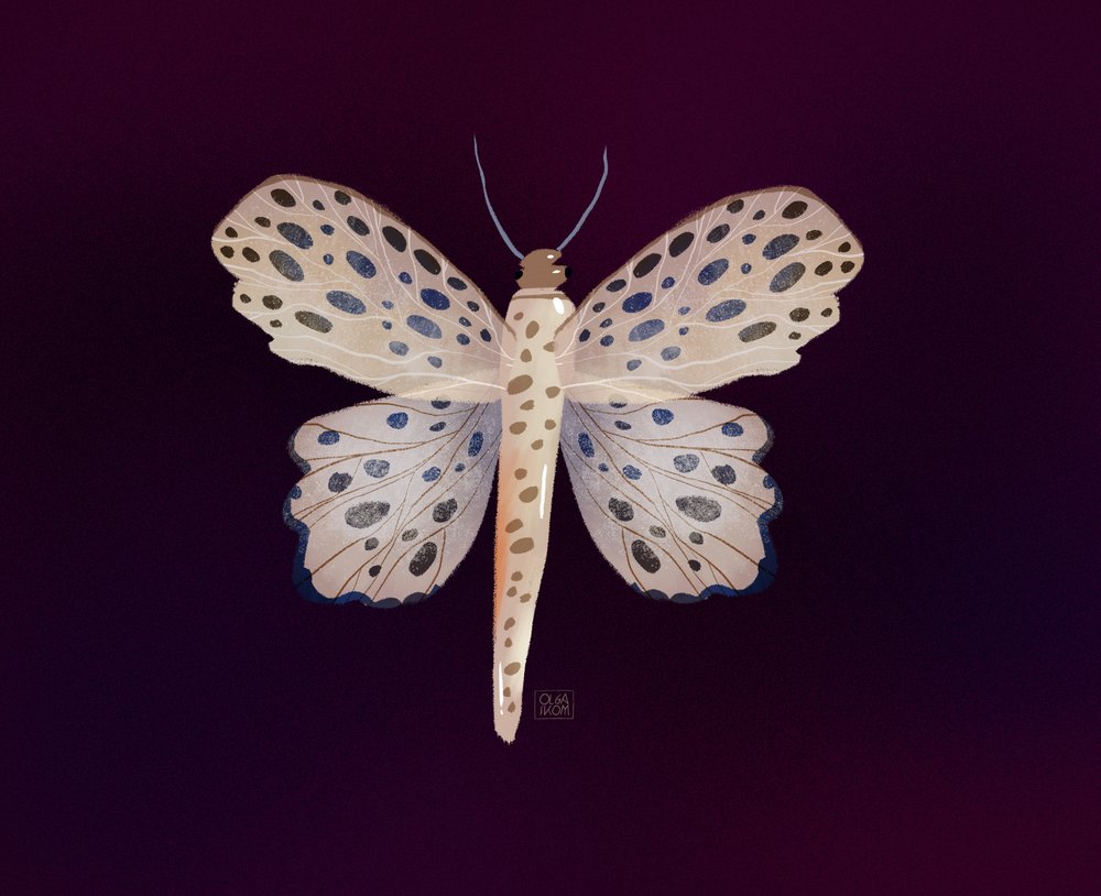 Spotted Butterfly Glow by Olga Skomorokhova