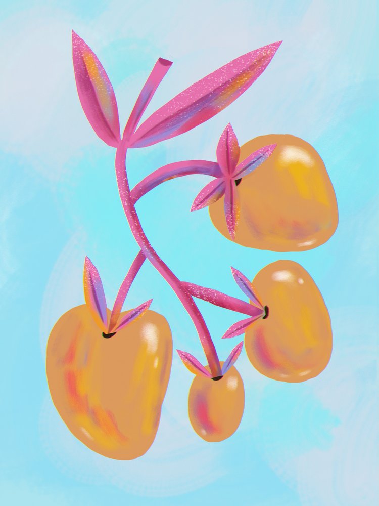 Vibrant Botanical Fruits by Olga Skomorokhova