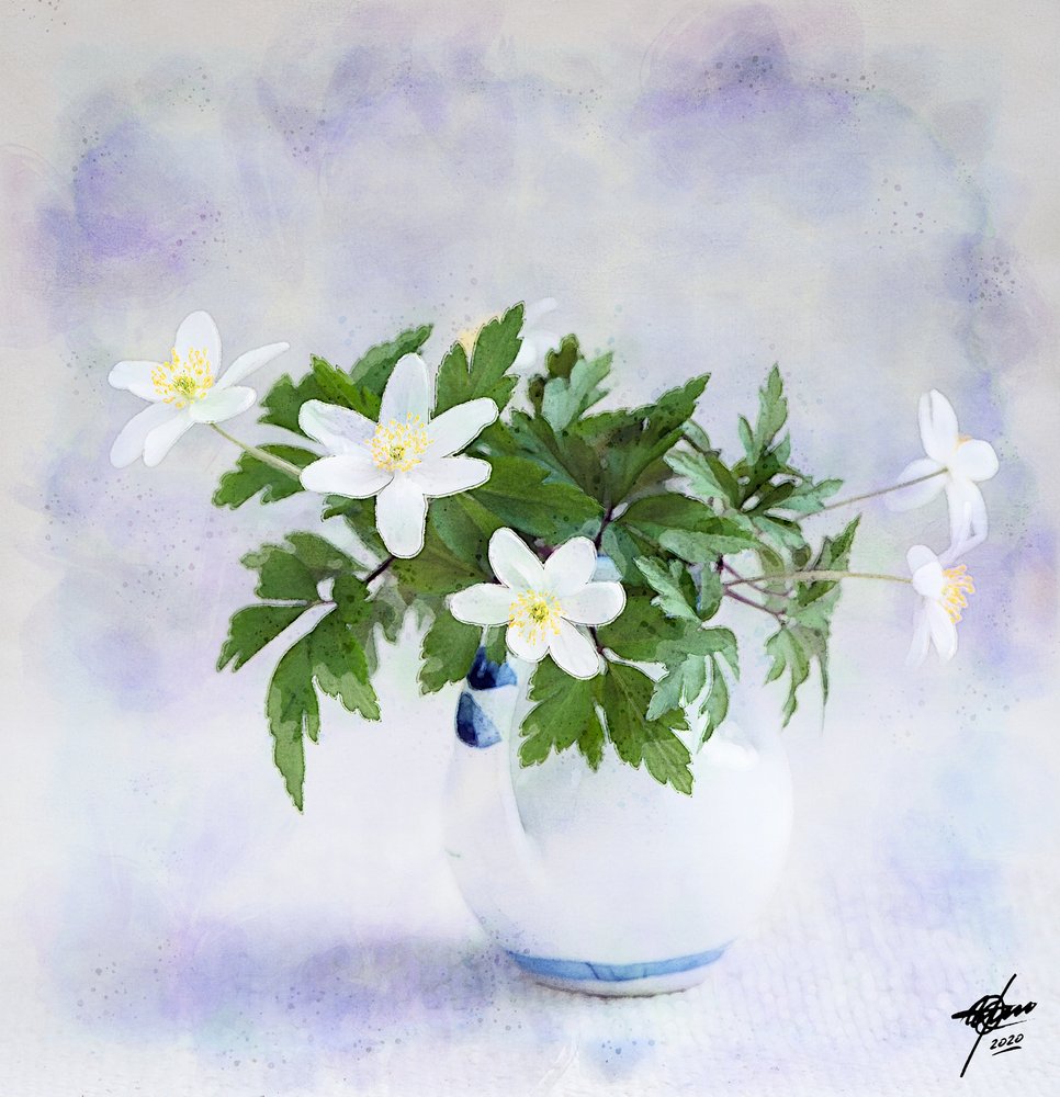 Delicate White Spring Flowers by Osvaldo Russo
