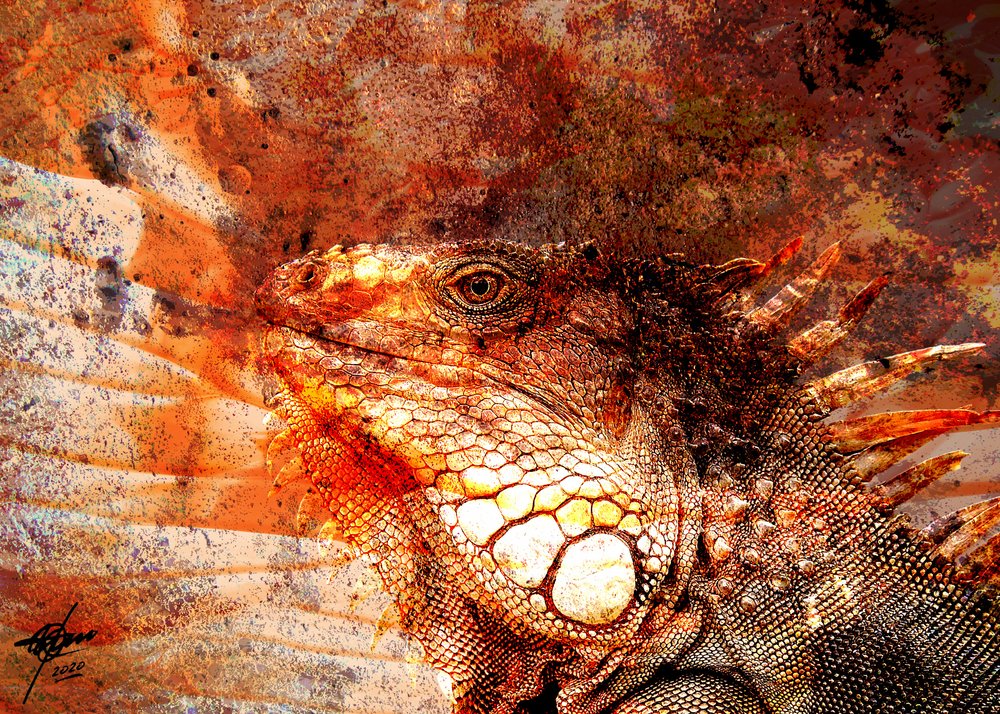 Fiery Iguana Portrait by Osvaldo Russo