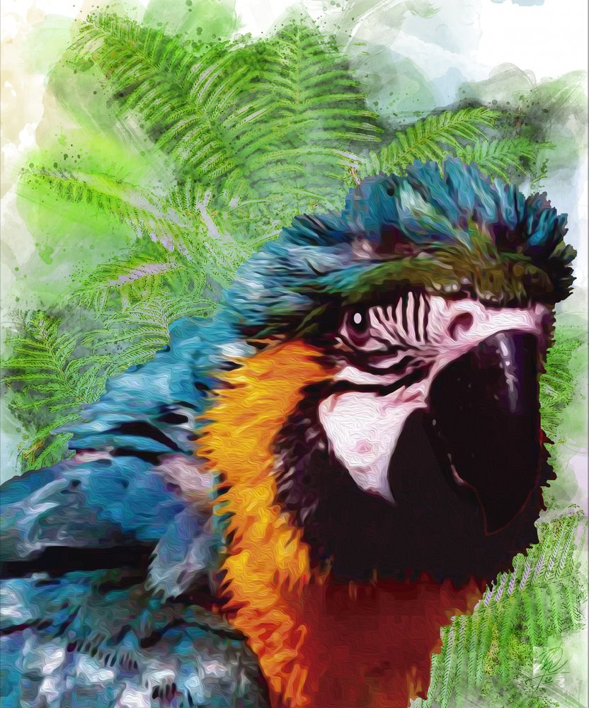 Vibrant Macaw Portrait by Osvaldo Russo