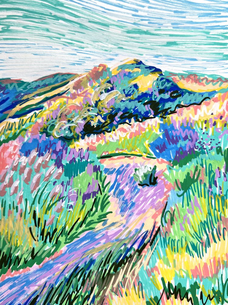 Vibrant Hillside Meadow by Pauline Wegman | Key and Sea Creative