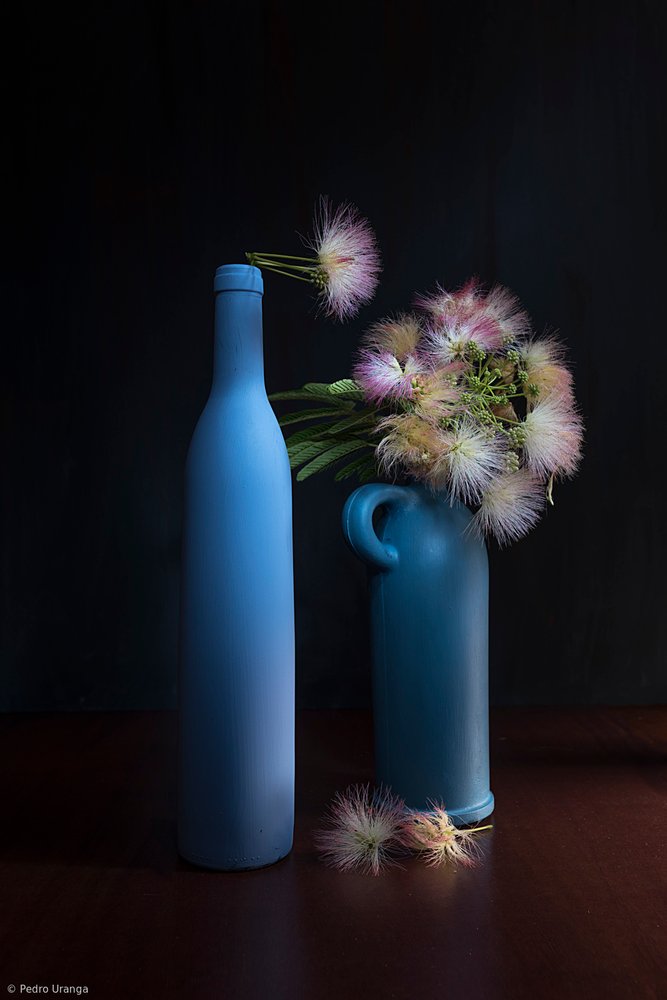 Botanical Blues and Pinks by Pedro Uranga