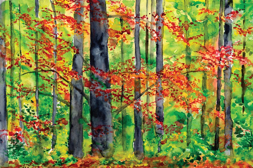 Autumn Forest Glow by RodMacIver