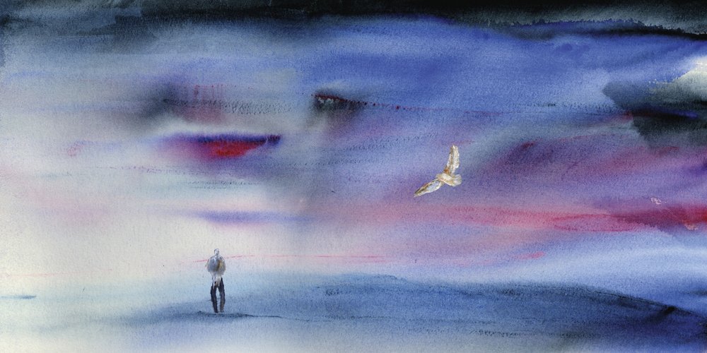 Dreamy Twilight Flight by RodMacIver