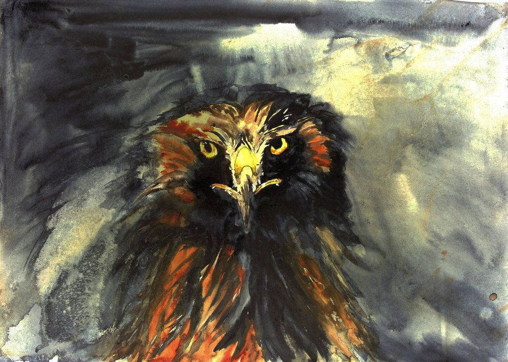 Fierce Eagle Stare by RodMacIver