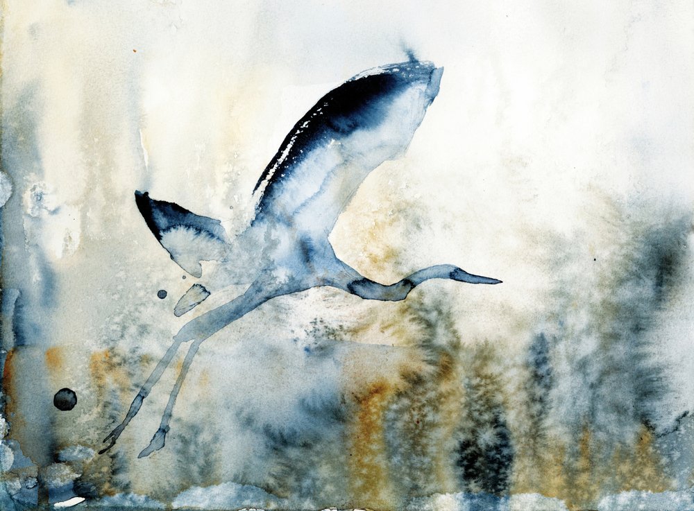 Graceful Heron Flight by RodMacIver