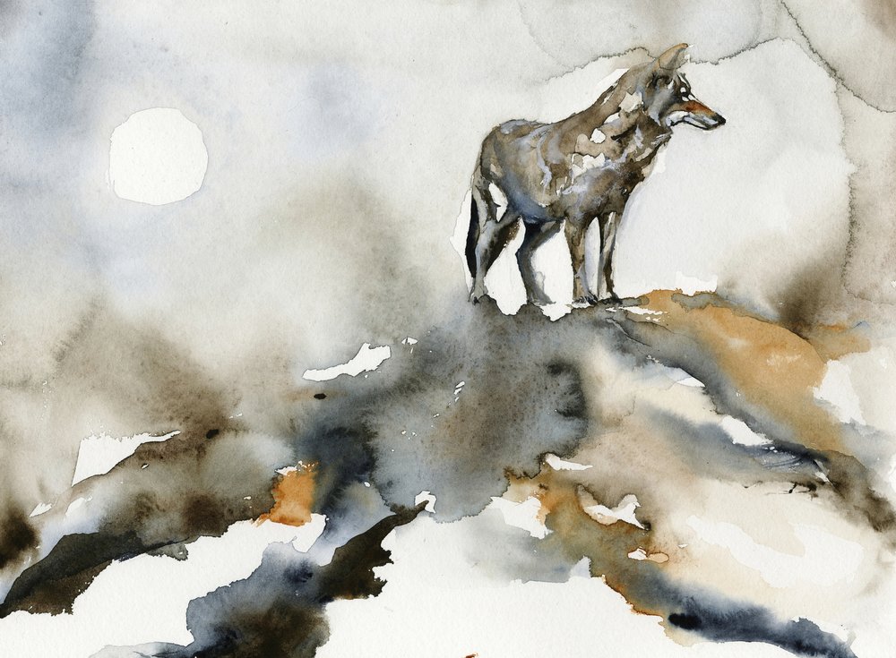 Lone Wolf Moon by RodMacIver