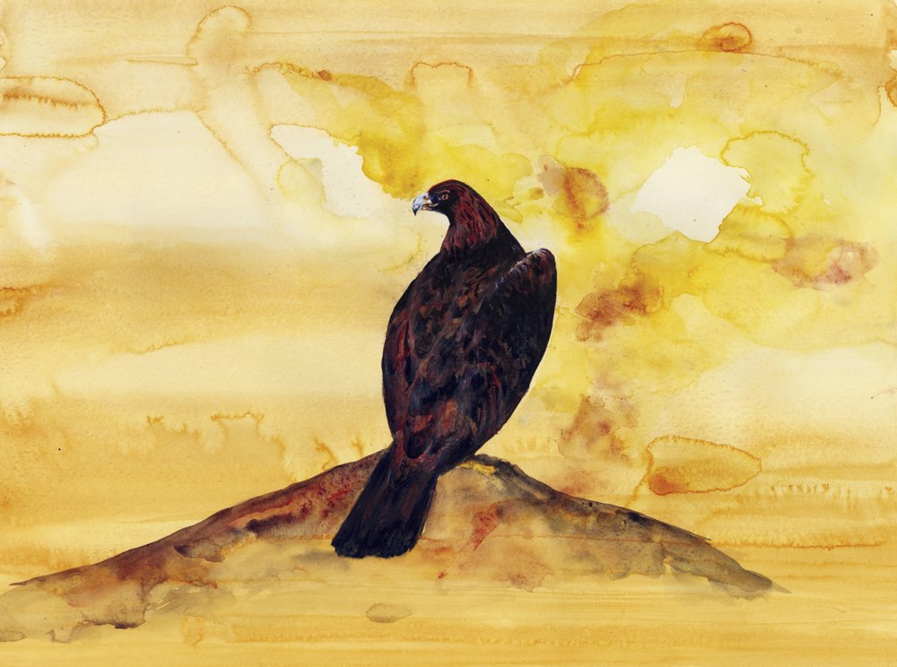 Majestic Golden Eagle by RodMacIver
