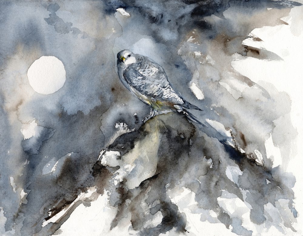 Moonlit Falcon Watch by RodMacIver