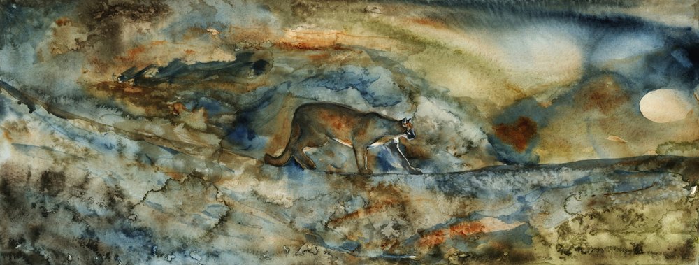 Mountain Lion Passage by RodMacIver