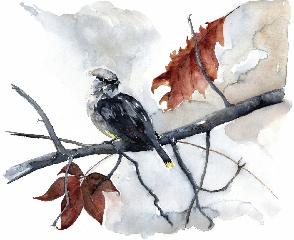 Peaceful Autumn Bird by RodMacIver