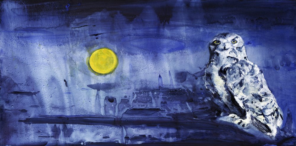 Snowy Owl Moonlight by RodMacIver