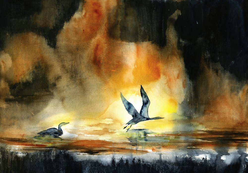 Sunset Water Birds by RodMacIver