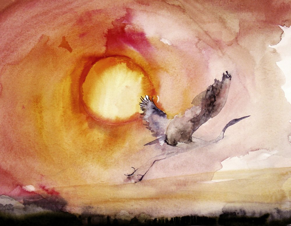Vibrant Bird Sunset by RodMacIver
