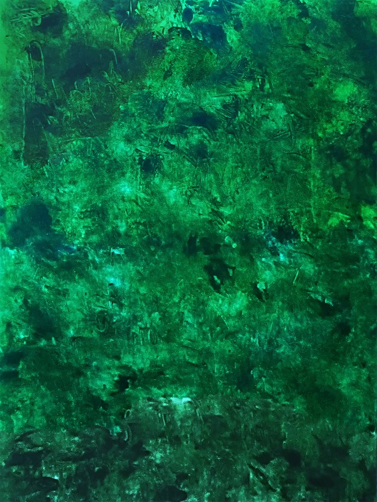 Lush Green Texture by Ron Halfant