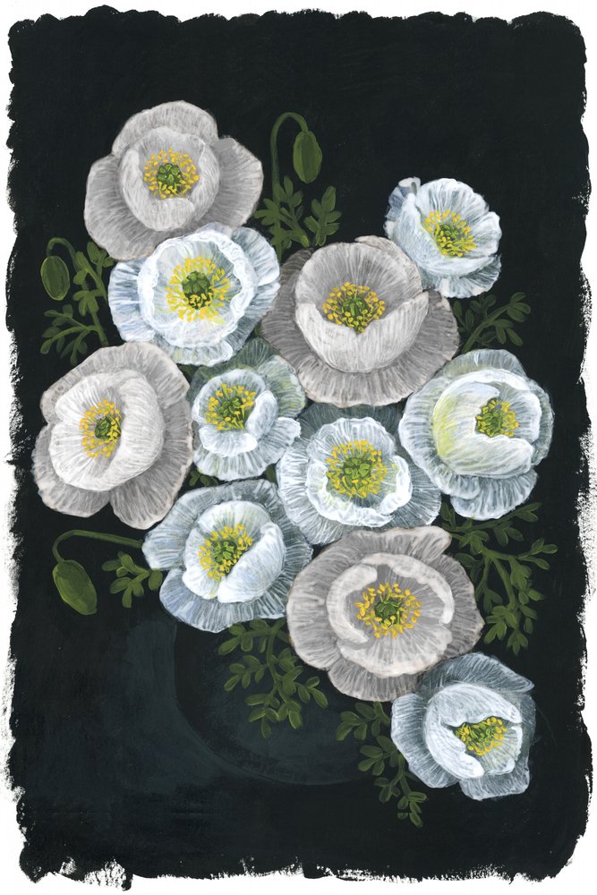 Elegant White Poppies by Rosana Laiz Blursbyai