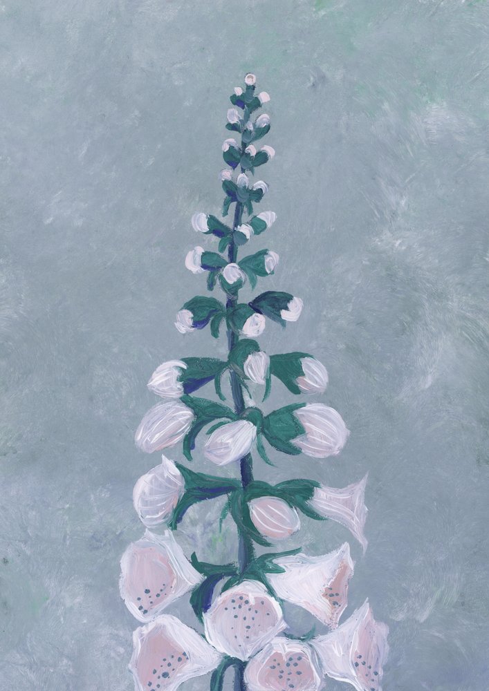White Foxglove Bloom by Rosana Laiz Blursbyai