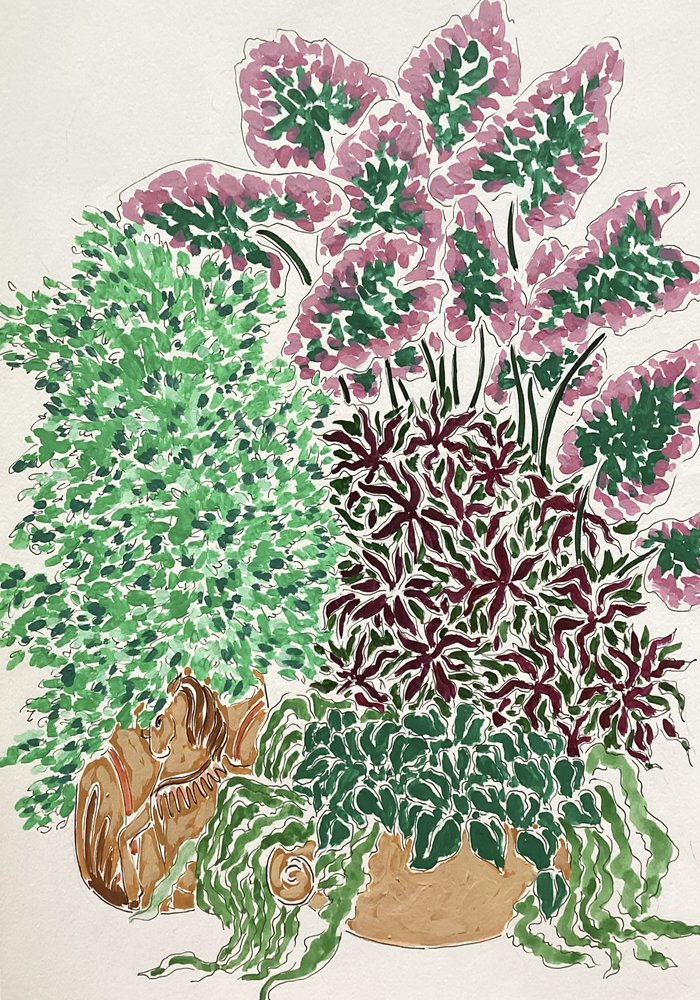 Vibrant Potted Plants by Rushati Chowdhury