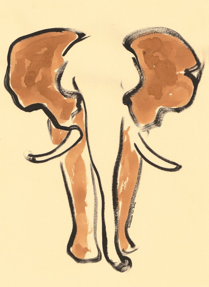 Brown Elephant Portrait by Santhosh ch