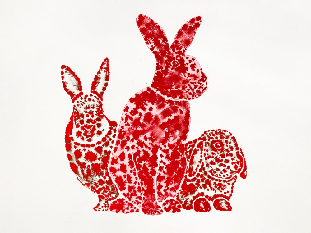 Crimson Spotted Bunnies by Santhosh ch