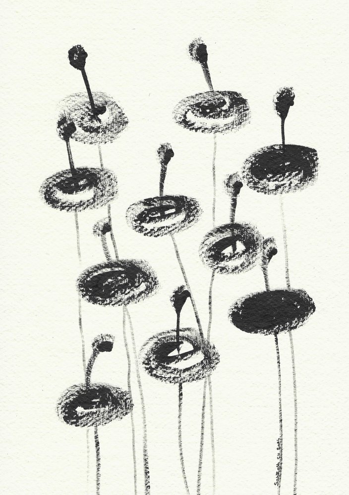 Delicate Charcoal Blooms by Santhosh ch