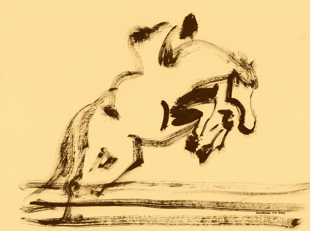 Dynamic Equestrian Jump by Santhosh ch