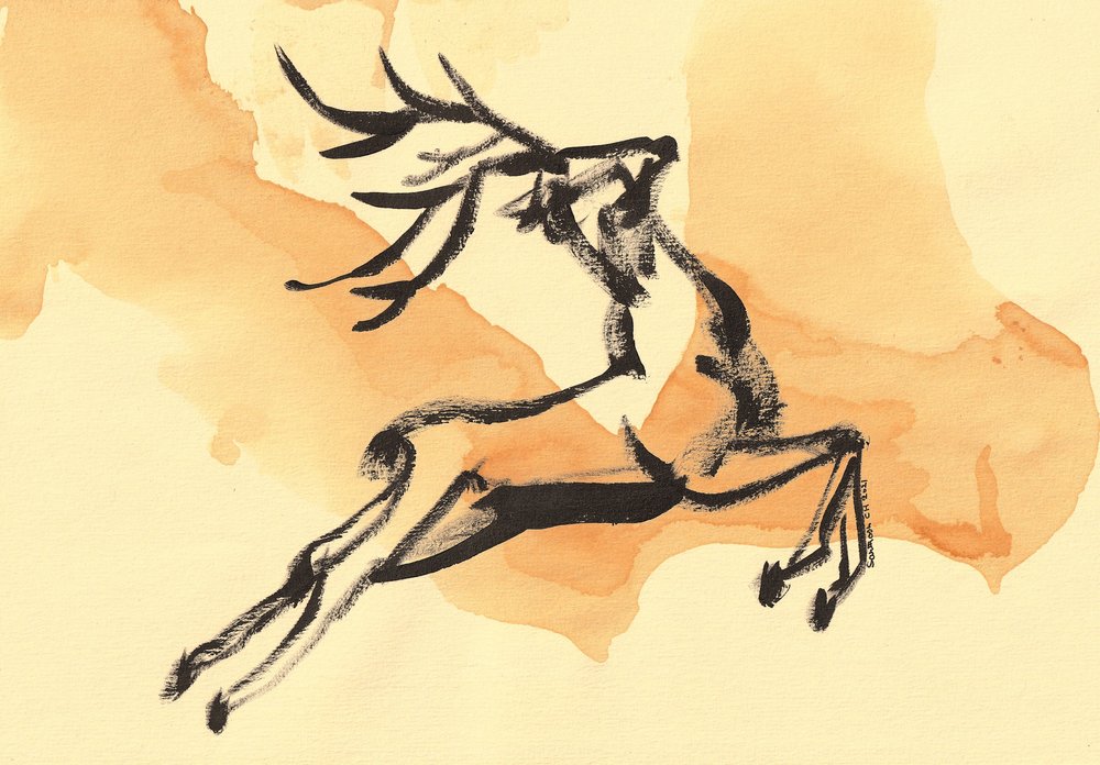 Dynamic Jumping Stag by Santhosh ch