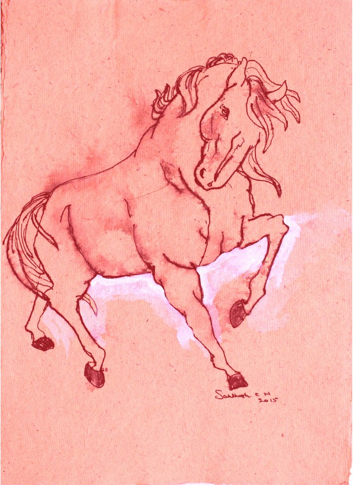 Majestic Red Stallion by Santhosh ch