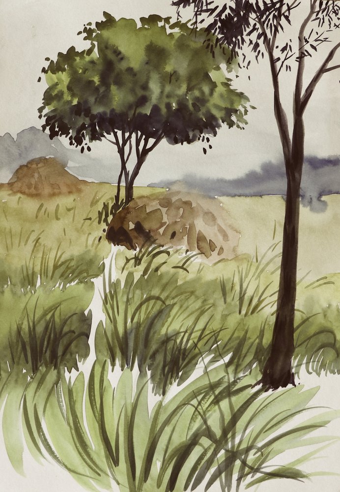 Peaceful Green Fields by Santhosh ch