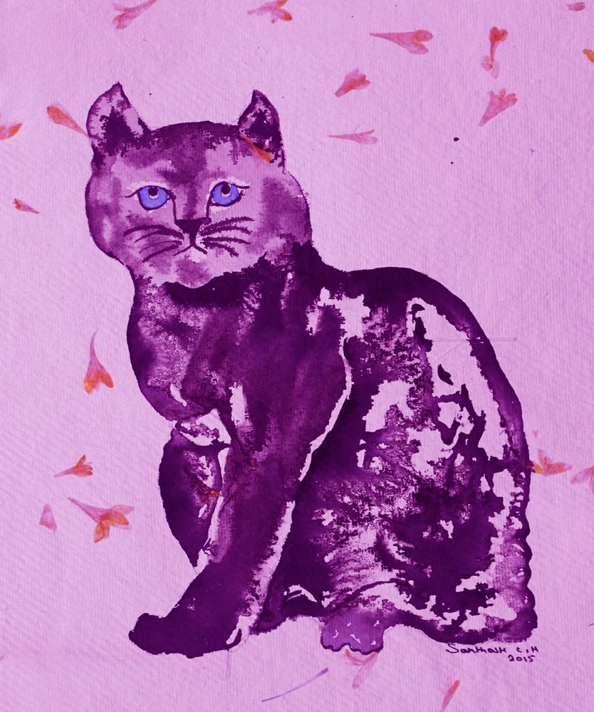 Purple Cat and Petals by Santhosh ch