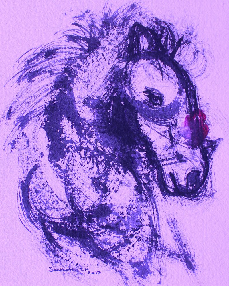 Purple Horse Spirit by Santhosh ch