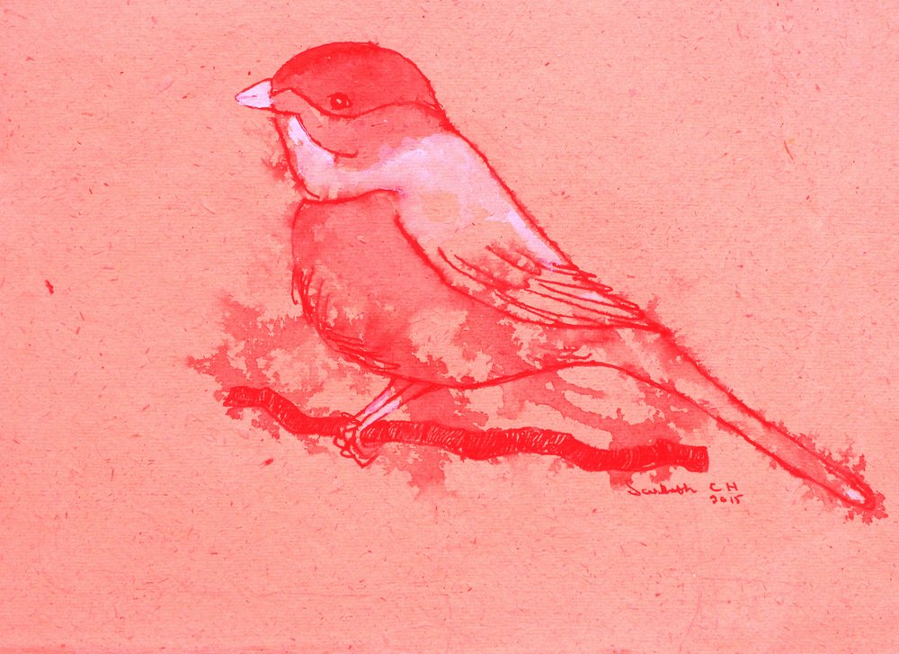 Red Bird on Branch by Santhosh ch