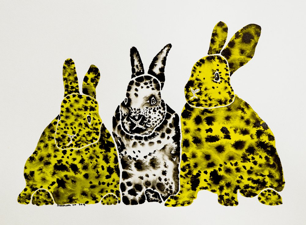 Spotted Leopard Rabbits by Santhosh ch