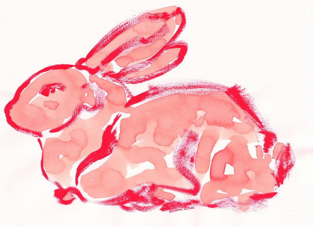 Vibrant Red Rabbit by Santhosh ch