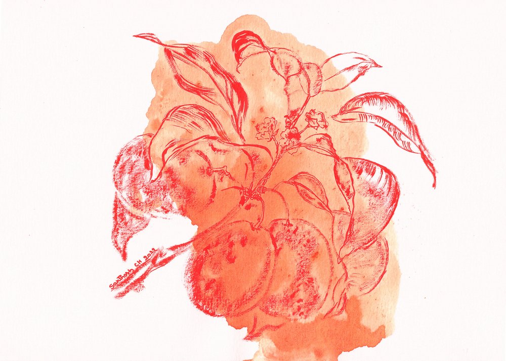 Watercolor Peach Branch by Santhosh ch