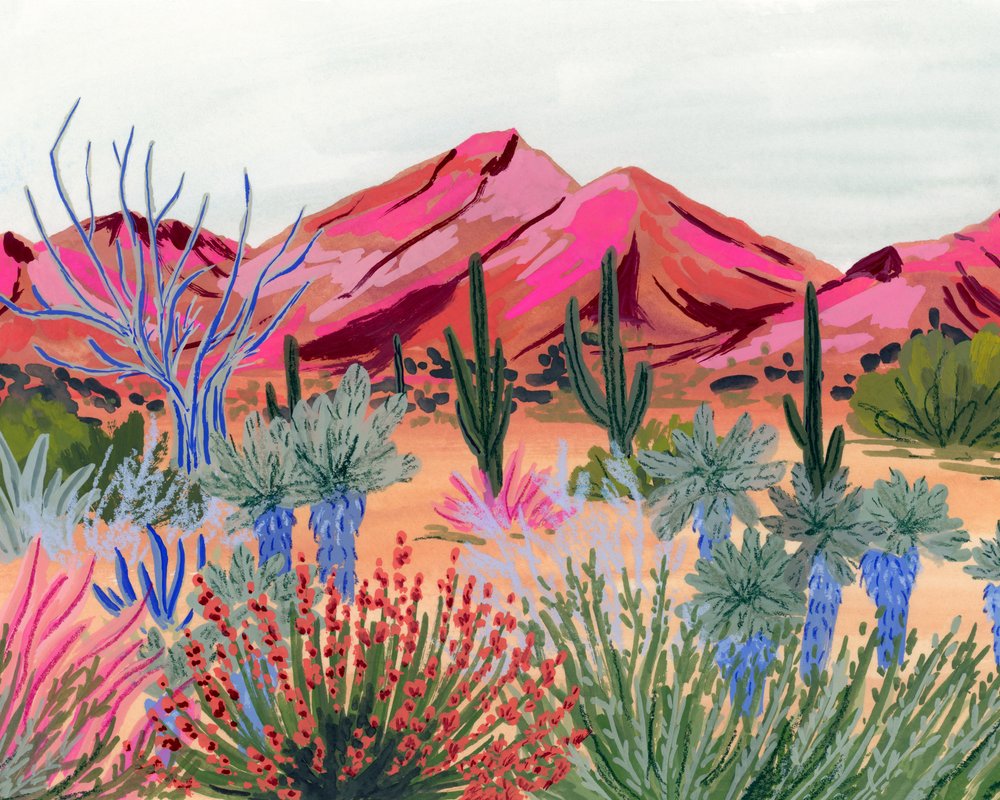 Colorful Desert Vista by Sarah Gesek