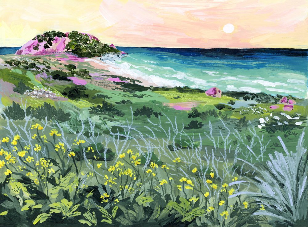 Wild Coast Sunset by Sarah Gesek