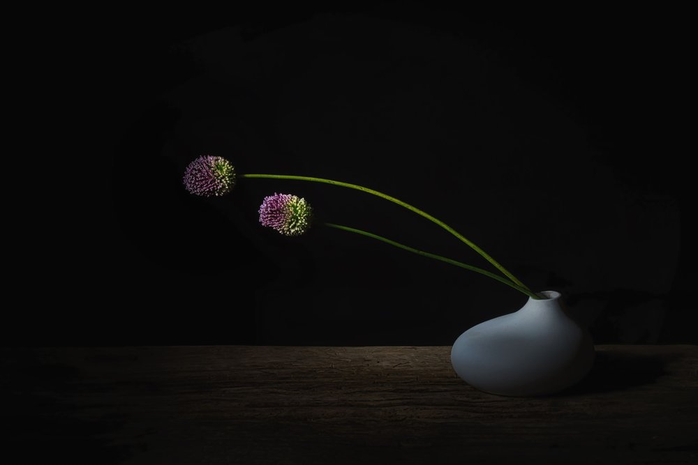 Dark Allium Blooms by Saskia Dingemans