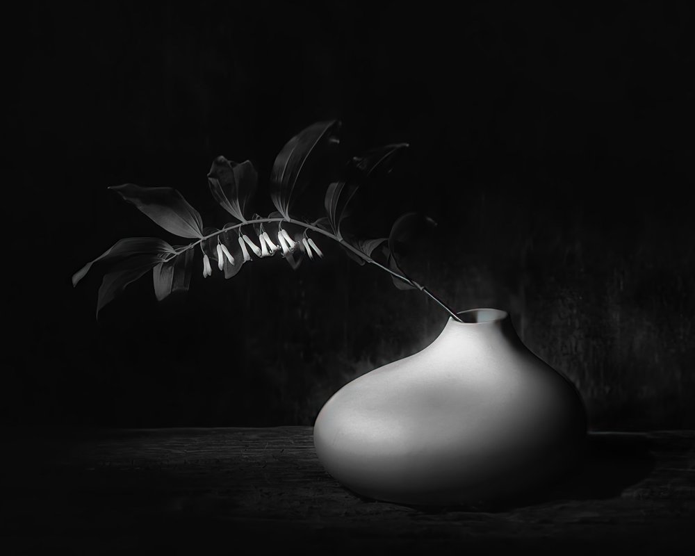 Dark Botanical Still Life by Saskia Dingemans
