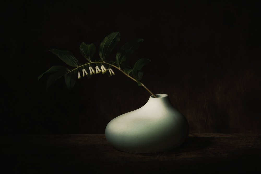 Delicate Bloom Dark Still Life by Saskia Dingemans