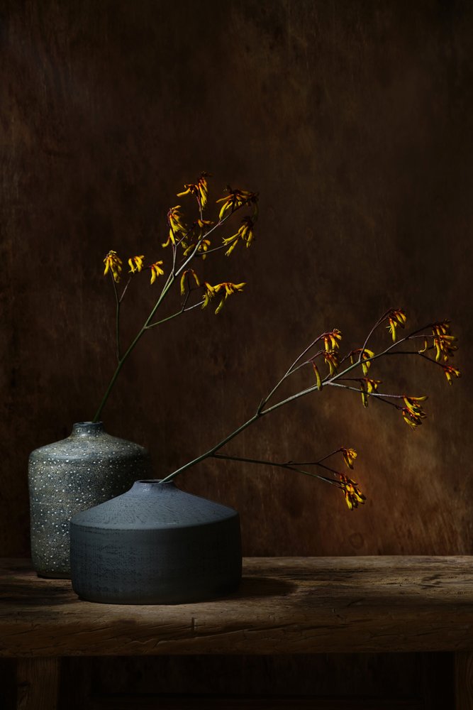 Moody Botanical Vases by Saskia Dingemans